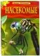 Насекомые. Детская энциклопедия фото книги маленькое 2