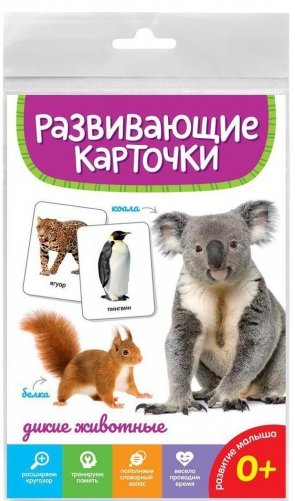 Развивающие карточки. Дикие животные фото книги