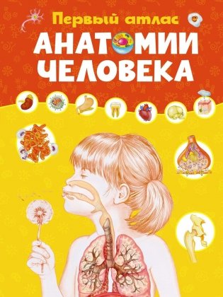 Первый атлас анатомии человека фото книги