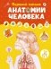 Первый атлас анатомии человека фото книги маленькое 2