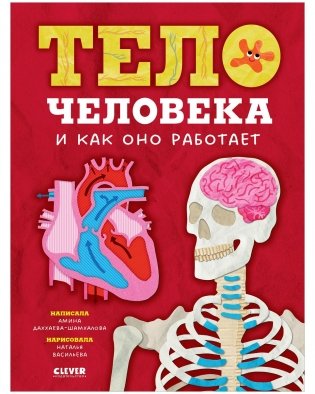 Любимая детская энциклопедия. Тело человека и как оно работает фото книги