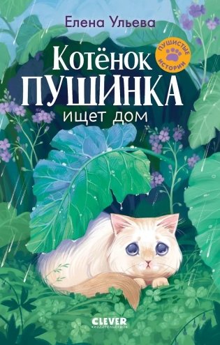 Котенок Пушинка ищет дом фото книги