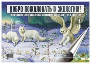Добро пожаловать в экологию. Демонстрационные картины и динамические модели для детей 6-7 лет фото книги