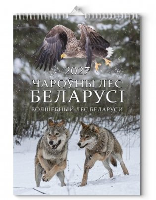 Календарь настенный 2027 "Чароўны лес Беларусі". Формат А3 фото книги