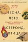 Весна, лето, астероид, птица.  Искусство восточного сторителлинга фото книги маленькое 2