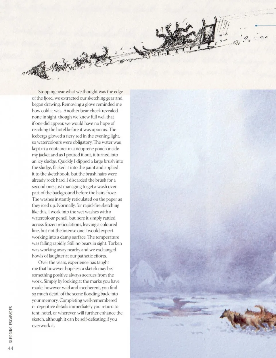 David Bellamy`s Arctic Light фото книги маленькое 9