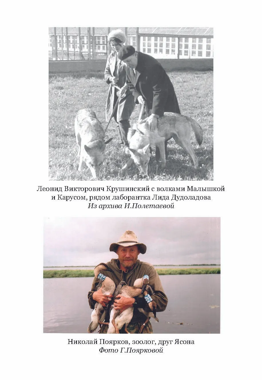 Жизнь с волками фото книги маленькое 7