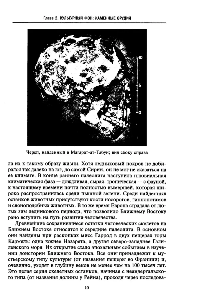 История Сирии. Древнейшее государство в сердце Ближнего Востока фото книги маленькое 11