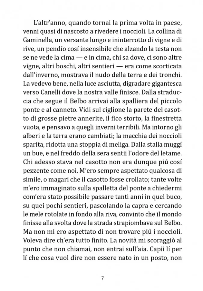 La luna e i falo. La bella estate / Луна и костры. Прекрасное лето фото книги маленькое 5