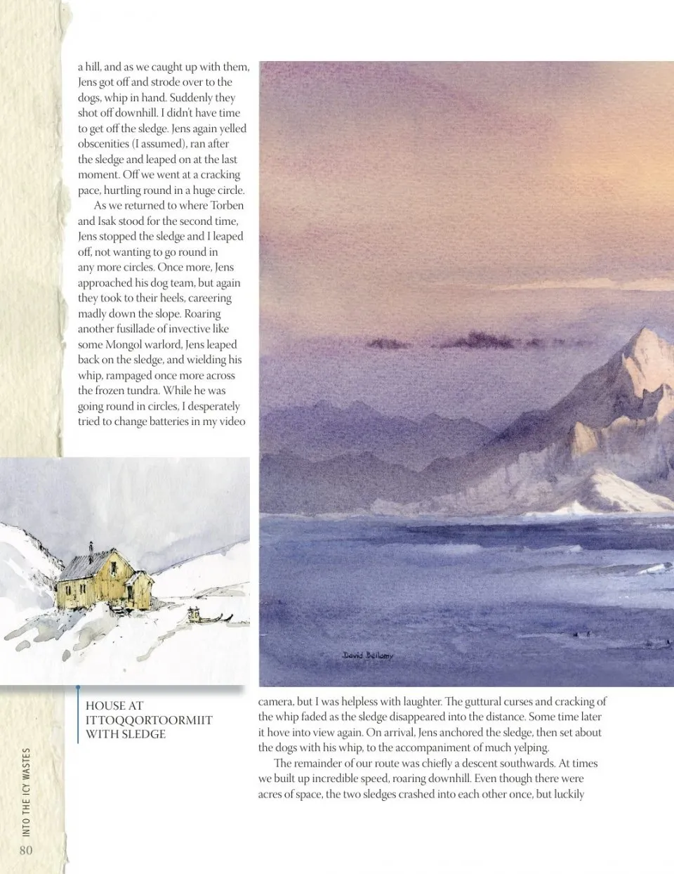 David Bellamy`s Arctic Light фото книги маленькое 13