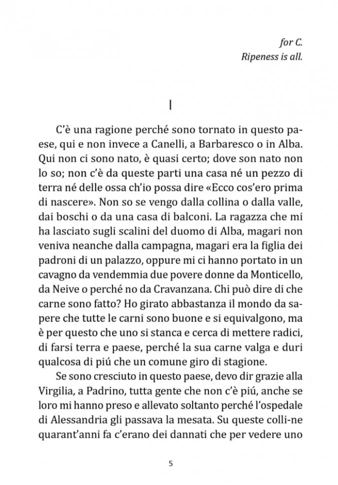 La luna e i falo. La bella estate / Луна и костры. Прекрасное лето фото книги маленькое 7