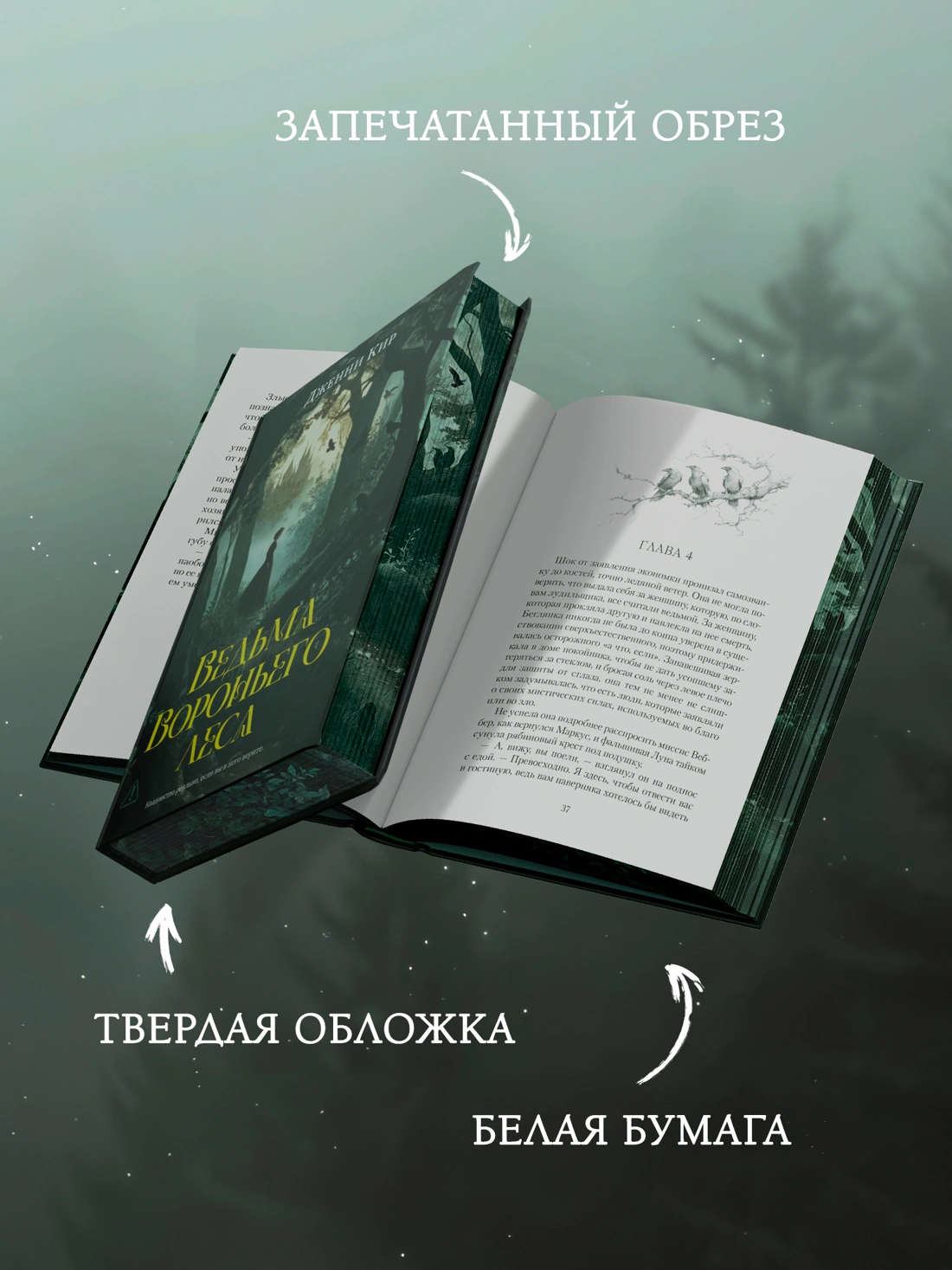 Ведьма Вороньего леса фото книги маленькое 6