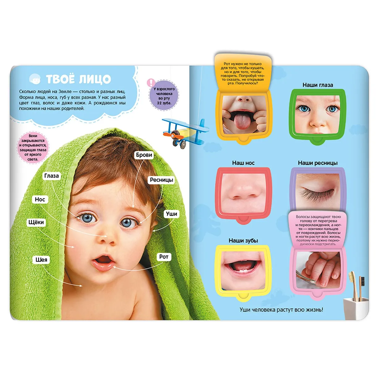 Мое тело. Энциклопедия с окошками фото книги маленькое 4