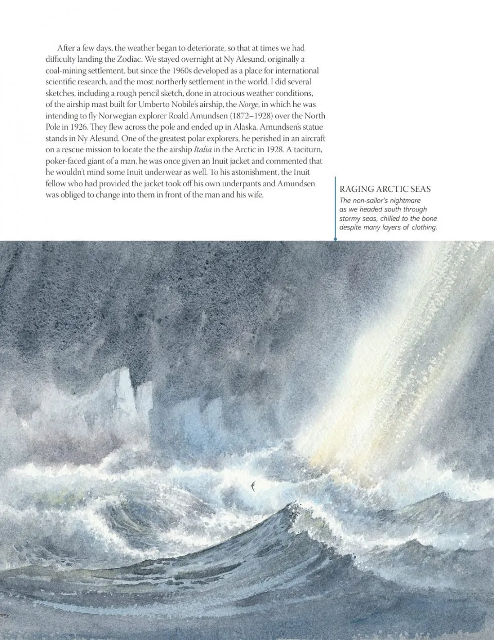 David Bellamy`s Arctic Light фото книги маленькое 16