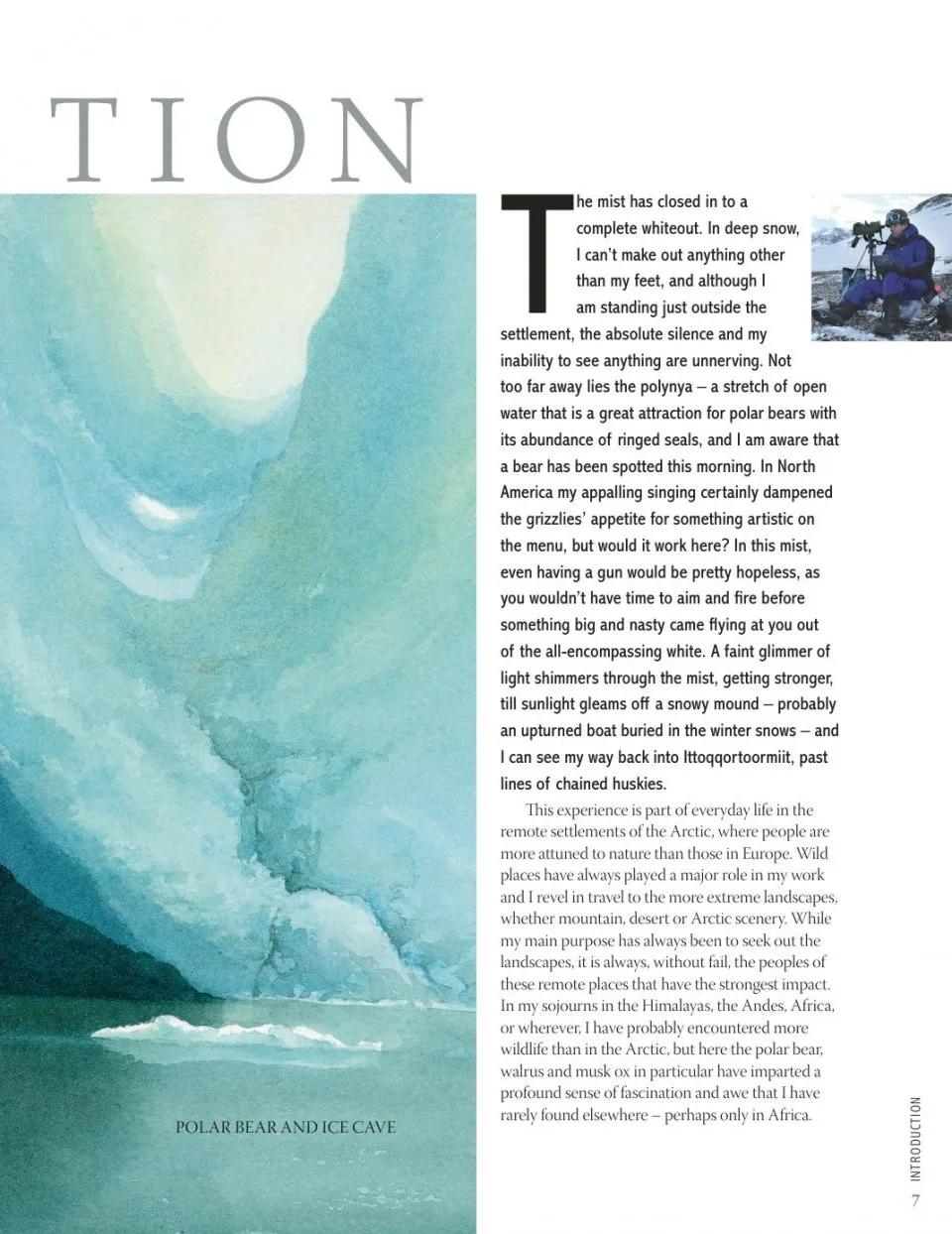 David Bellamy`s Arctic Light фото книги маленькое 6