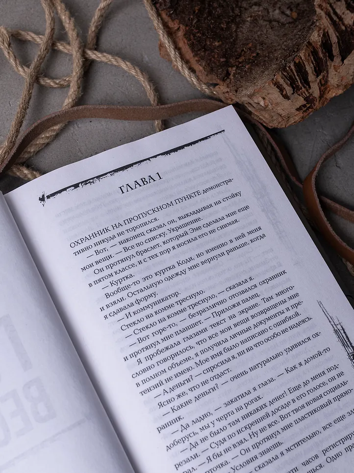 Голос Вессема фото книги маленькое 4