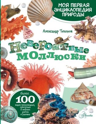 Невероятные моллюски фото книги