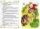 Жар-птица фото книги маленькое 3