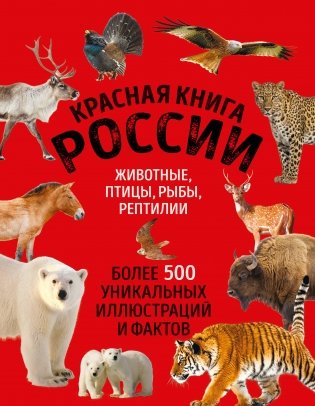 Красная книга России. Большой формат. Более 500 уникальных иллюстраций и фактов (новое издание) фото книги