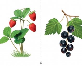 Путешествие в мир правильной речи. Шаг за шагом. Учебное наглядное пособие. ГРИФ фото книги 3