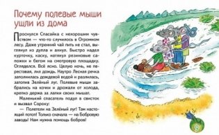 Гномик Спасайка и его друзья фото книги 3