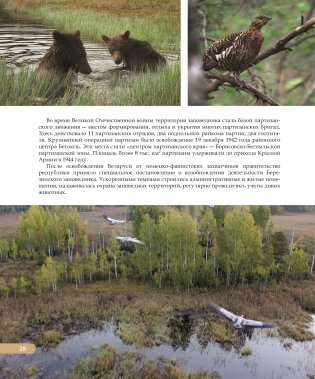 Национальные парки ― жемчужины Беларуси. Нацыянальныя паркі ― жамчужыны Беларусі. National parks ― pearls of Belarus фото книги 6