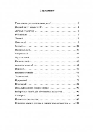 Веселые каникулы светлячков. Летняя тетрадка для второклассников фото книги 4