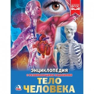 Тело человека. Энциклопедия фото книги