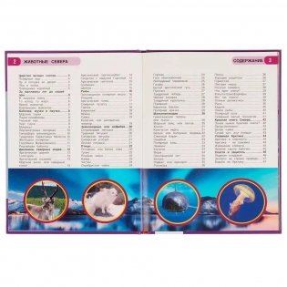 Животные Севера. 100 фактов фото книги 2
