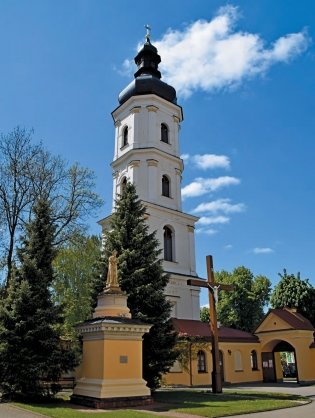 Пінск - палеская легенда. Пинск - полесская легенда фото книги 8