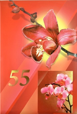 Папка адресная "55 лет" фото книги