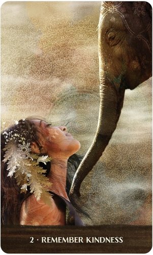 Wild Woman Rising фото книги 2