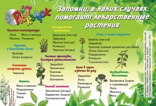 Зеленая аптечка фото книги 2