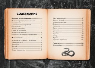 Маленький гримуар ведьмы. Зелья и волшебные травы фото книги 3