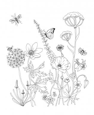 Woodland Wonderland : A Tranquil Coloring Retreat – A Calming Coloring Book of Flowers and Forest Animals for Adults фото книги 15