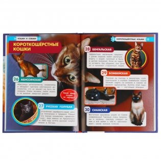 Энциклопедия с развивающими заданиями "Кошки и собаки. 100 фактов" фото книги 3