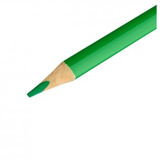 Карандаши цветные Мульти-Пульти "Друзья енота", 12vцв., трехгранные, заточен., тубус. Арт. CP_54163 фото книги 4