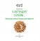 З легендаў і казак... Маленькая азбука беларускай міфалогіі фото книги маленькое 3