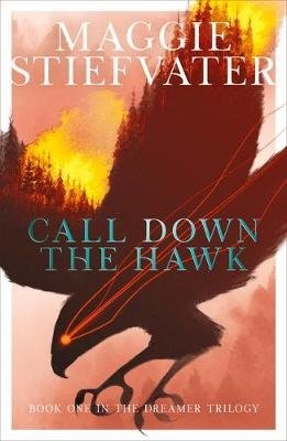Call Down the Hawk фото книги