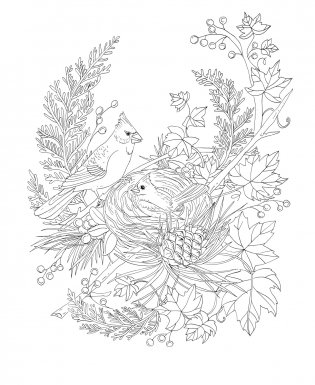 Woodland Wonderland : A Tranquil Coloring Retreat – A Calming Coloring Book of Flowers and Forest Animals for Adults фото книги 5