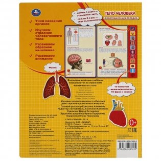 Тело человека. 10 звуковых кнопок фото книги 5