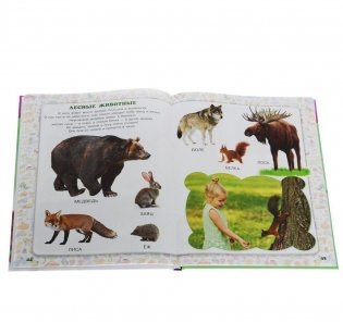 Мир, в котором я живу. Для детей 3-4 лет фото книги 3