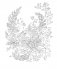 Woodland Wonderland : A Tranquil Coloring Retreat – A Calming Coloring Book of Flowers and Forest Animals for Adults фото книги маленькое 6