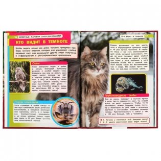 Животные: марафон суперспособностей. Энциклопедия с развивающими заданиями фото книги 3
