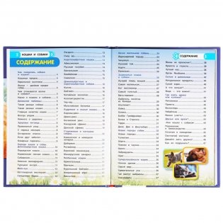 Энциклопедия с развивающими заданиями "Кошки и собаки. 100 фактов" фото книги 2