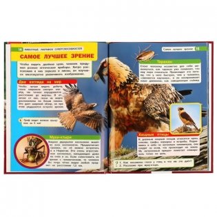 Животные: марафон суперспособностей. Энциклопедия с развивающими заданиями фото книги 2