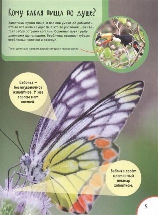 Животные. Лучшая детская энциклопедия фото книги 5