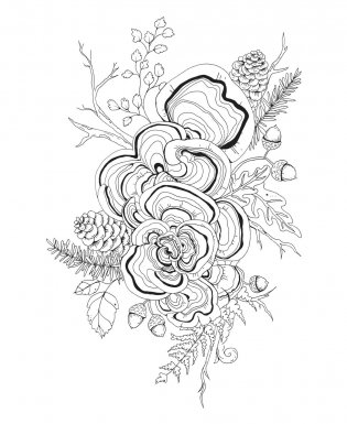 Woodland Wonderland : A Tranquil Coloring Retreat – A Calming Coloring Book of Flowers and Forest Animals for Adults фото книги 7
