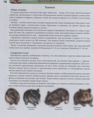 Энциклопедия. Домашние питомцы фото книги 5