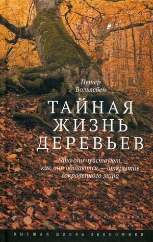 Тайная жизнь деревьев. Что они чувствуют, как они общаются - открытие сокровенного мира фото книги